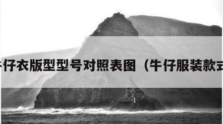 牛仔衣版型型号对照表图（牛仔服装款式）