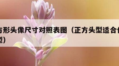 正方形头像尺寸对照表图（正方头型适合什么发型）