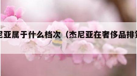 杰尼亚属于什么档次（杰尼亚在奢侈品排第几）