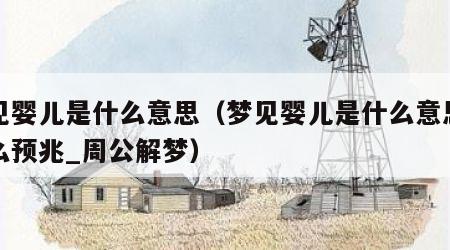 梦见婴儿是什么意思（梦见婴儿是什么意思有什么预兆_周公解梦）
