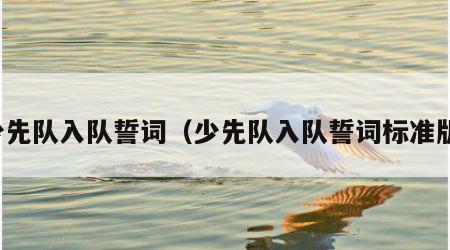 少先队入队誓词（少先队入队誓词标准版）