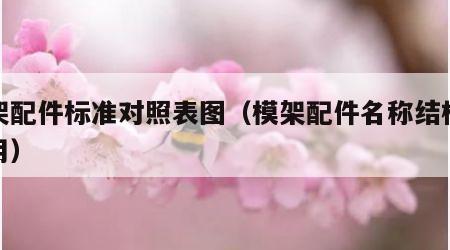 模架配件标准对照表图（模架配件名称结构及作用）