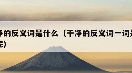 干净的反义词是什么（干净的反义词一词是什么呢）