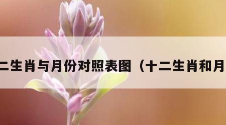 十二生肖与月份对照表图（十二生肖和月份）