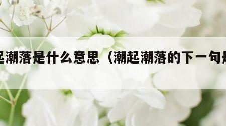 潮起潮落是什么意思（潮起潮落的下一句是什么）