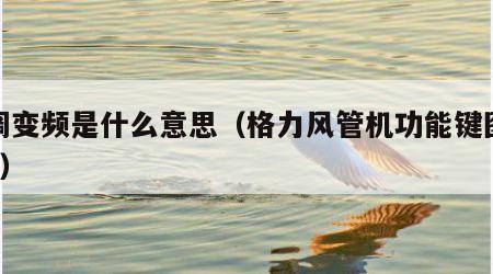 空调变频是什么意思（格力风管机功能键图标8个）