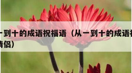 从一到十的成语祝福语（从一到十的成语祝福语情侣）
