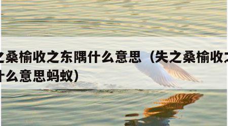 失之桑榆收之东隅什么意思（失之桑榆收之东隅什么意思蚂蚁）