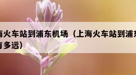 上海火车站到浦东机场（上海火车站到浦东机场有多远）