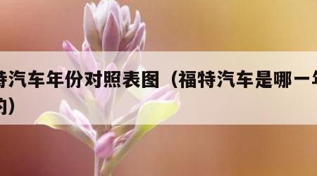 福特汽车年份对照表图（福特汽车是哪一年生产的）