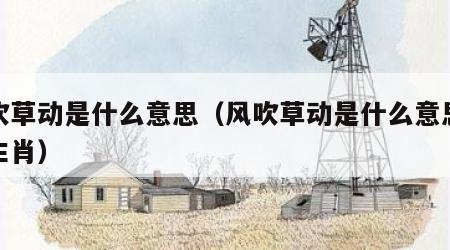 风吹草动是什么意思（风吹草动是什么意思打一生肖）
