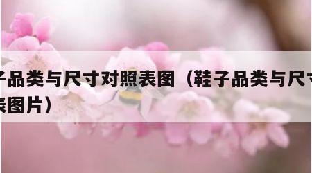 鞋子品类与尺寸对照表图（鞋子品类与尺寸对照表图片）