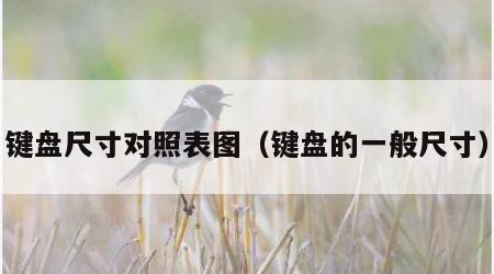 键盘尺寸对照表图（键盘的一般尺寸）