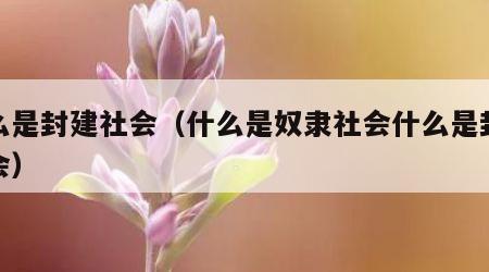 什么是封建社会（什么是奴隶社会什么是封建社会）