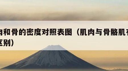 肌肉和骨的密度对照表图（肌肉与骨骼肌有什么区别）