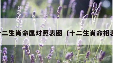 十二生肖命属对照表图（十二生肖命相表）