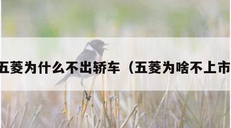 五菱为什么不出轿车（五菱为啥不上市）
