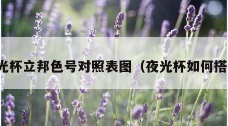 夜光杯立邦色号对照表图（夜光杯如何搭配）