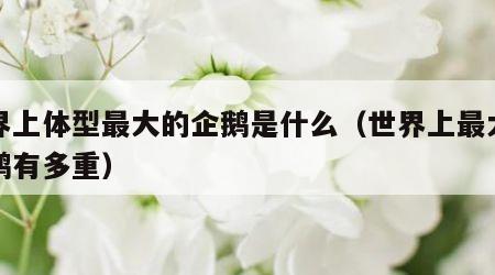 世界上体型最大的企鹅是什么（世界上最大的企鹅有多重）