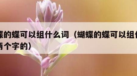 蝴蝶的蝶可以组什么词（蝴蝶的蝶可以组什么词两个字的）