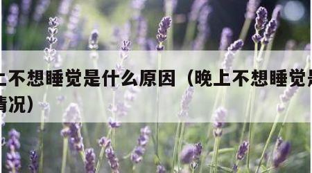晚上不想睡觉是什么原因（晚上不想睡觉是什么情况）