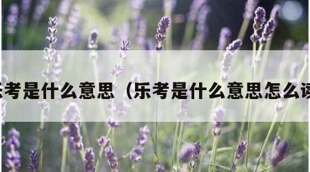乐考是什么意思（乐考是什么意思怎么读）