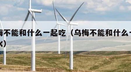 乌梅不能和什么一起吃（乌梅不能和什么一起泡水）