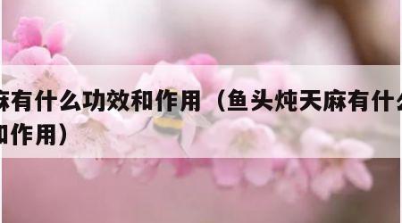 天麻有什么功效和作用（鱼头炖天麻有什么功效和作用）