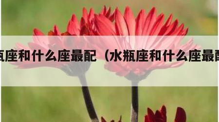 水瓶座和什么座最配（水瓶座和什么座最配对）