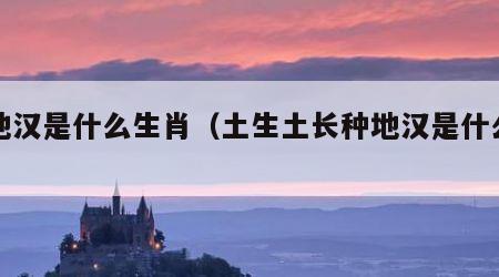 种地汉是什么生肖（土生土长种地汉是什么生肖）