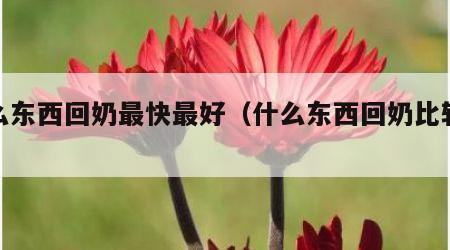 什么东西回奶最快最好（什么东西回奶比较好）