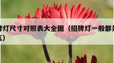 招牌灯尺寸对照表大全图（招牌灯一般都是多少瓦）