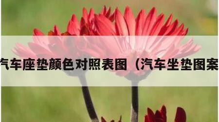 汽车座垫颜色对照表图（汽车坐垫图案）
