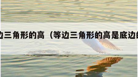 等边三角形的高（等边三角形的高是底边的一半）