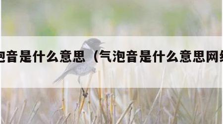 气泡音是什么意思（气泡音是什么意思网络用语）