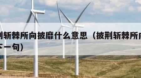 披荆斩棘所向披靡什么意思（披荆斩棘所向披靡下一句）