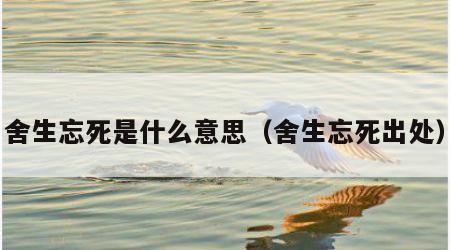 舍生忘死是什么意思（舍生忘死出处）