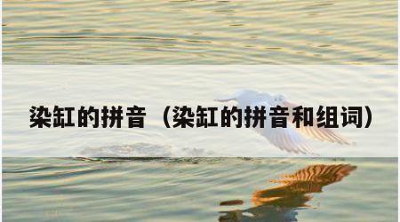 染缸的拼音（染缸的拼音和组词）