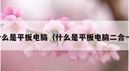 什么是平板电脑（什么是平板电脑二合一）