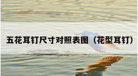 五花耳钉尺寸对照表图（花型耳钉）