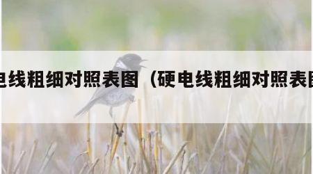 硬电线粗细对照表图（硬电线粗细对照表图片）
