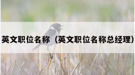 英文职位名称（英文职位名称总经理）