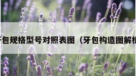 牙包规格型号对照表图（牙包构造图解析）