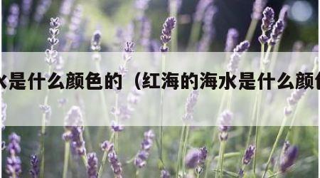 海水是什么颜色的（红海的海水是什么颜色的）