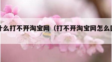 为什么打不开淘宝网（打不开淘宝网怎么回事）