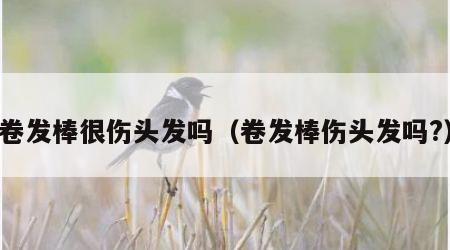 卷发棒很伤头发吗（卷发棒伤头发吗?）