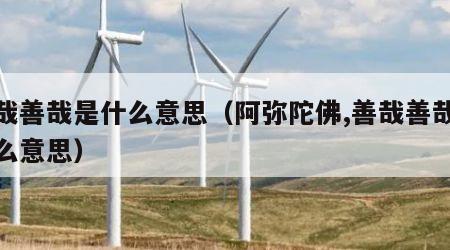 善哉善哉是什么意思（阿弥陀佛,善哉善哉是什么意思）