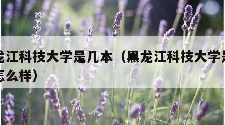 黑龙江科技大学是几本（黑龙江科技大学是几本怎么样）