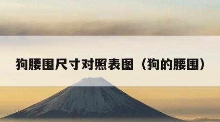 狗腰围尺寸对照表图（狗的腰围）