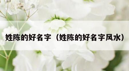 姓陈的好名字（姓陈的好名字风水）